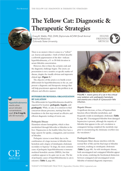 The Yellow Cat: Diagnostic & Therapeutic Strategies