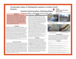 Conservation Status of Siphloplecton Species in Northern North America (Insecta: Ephemeroptera: Metretopodidae) T