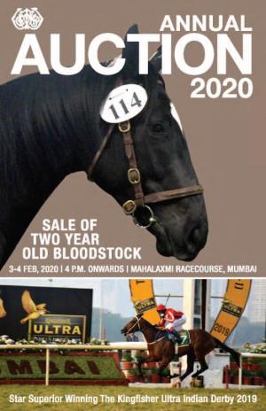 Rwitc, Ltd. Annual Auction Sale of Two Year Old Bloodstock 142 Lots