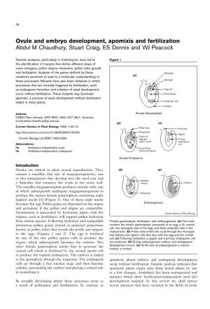 Ovule and Embryo Development, Apomixis and Fertilization Abdul M Chaudhury, Stuart Craig, ES Dennis and WJ Peacock