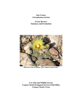 Star Cactus (Astrophytum Asterias) 5-Year Review