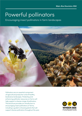 Powerful Pollinators Encouraging Insect Pollinators in Farm Landscapes