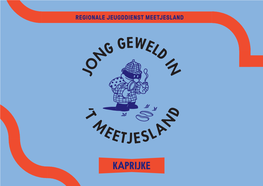 Kaprijke 1 Regionale Jeugddienst Meetjesland Jeugddienst Regionale