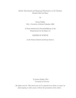 Benthic Macrofaunal and Megafaunal Distribution on the Canadian Beaufort Shelf and Slope