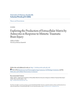 Exploring the Production of Extracellular Matrix by Astrocytes in Response to Mimetic Traumatic Brain Injury Addison Walker University of Arkansas, Fayetteville