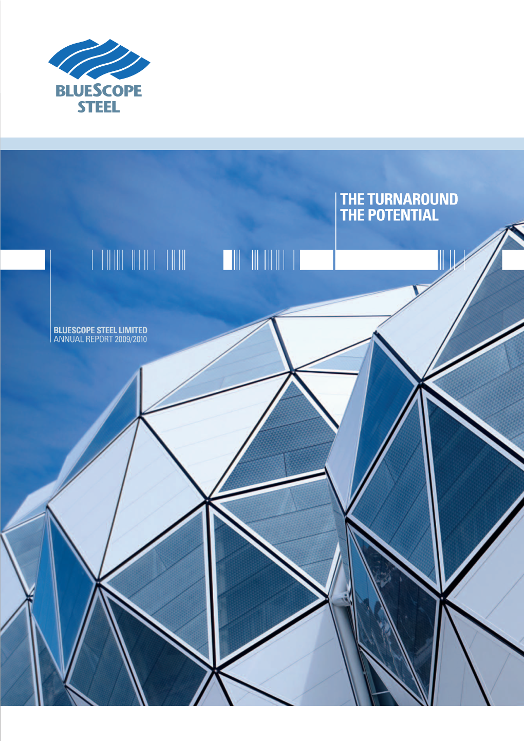 Download Annual Report 2010