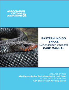Eastern Indigo Snake Care Manual