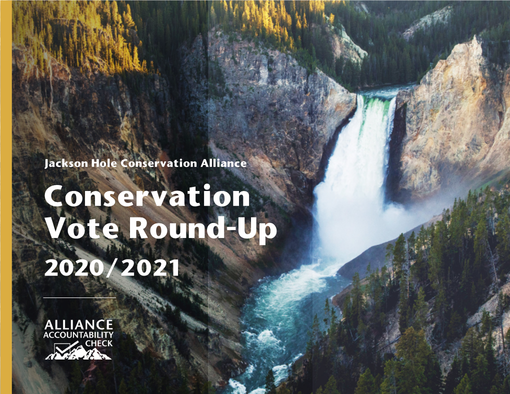 Conservation Vote Round-Up 2020/2021 Welcome to the Alliance’S Conservation Vote Round-Up 2020-2021