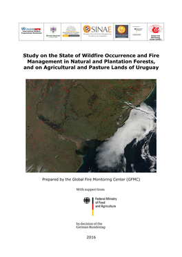Tudy on the State of Wildfire Occurrence and Fire Management in Natural and Plantation Forests, and on Agricultural and Pasture Lands of Uruguay