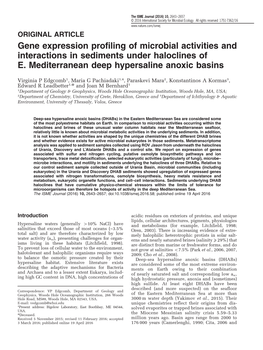 Gene Expression Profiling of Microbial Activities and Interactions in Sediments Under Haloclines of E