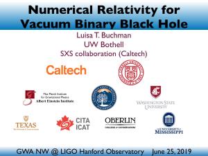 Numerical Relativity for Vacuum Binary Black Hole Luisa T