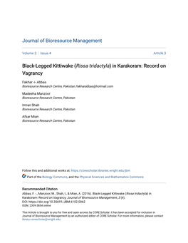 Black-Legged Kittiwake (Rissa Tridactyla) in Karakoram: Record on Vagrancy
