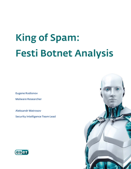 Festi Botnet Analysis