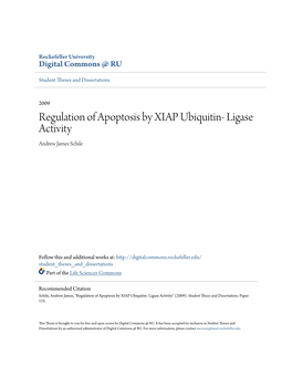 Regulation of Apoptosis by XIAP Ubiquitin- Ligase Activity Andrew James Schile