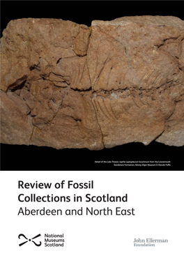 Review of Fossil Collections in Scotland Aberdeen and North East Aberdeen and North East