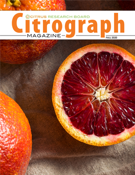 | Citrograph Magazine 1