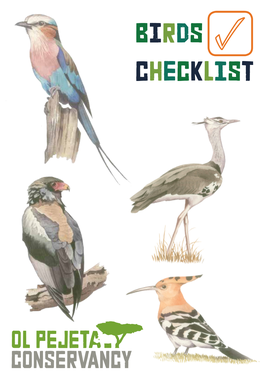 Birds CHECKLIST Birding at Ol Pejeta Conservancy