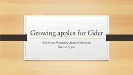 Growing Apples for Cider