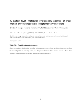 A System-Level, Molecular Evolutionary Analysis of Mam- Malian Phototransduction (Supplementary Material)