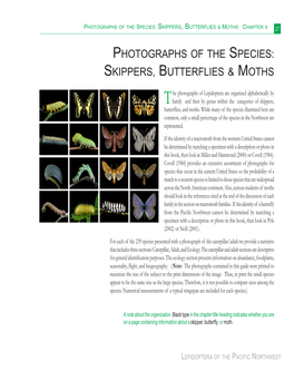 Photographs of the Species: Skippers, Butterflies & Moths