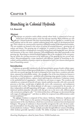 Branching in Colonial Hydroids I.A