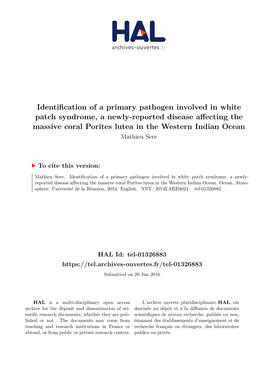 Identification of a Primary Pathogen Involved in White Patch Syndrome, A