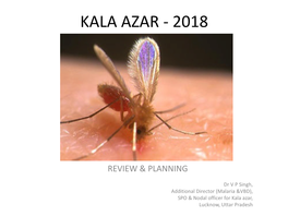 Kala Azar 2018 Review and Planning