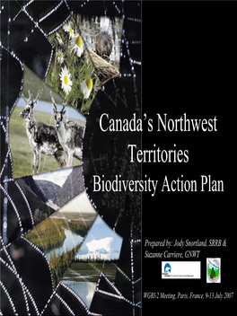 Northwest Territories Biodiversity Action Plan
