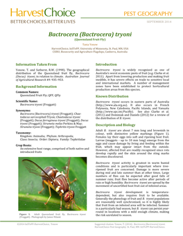 (Bactrocera) Tryoni (Queensland Fruit Fly) Tania Yonow Harvestchoice, Instepp, University of Minnesota, St