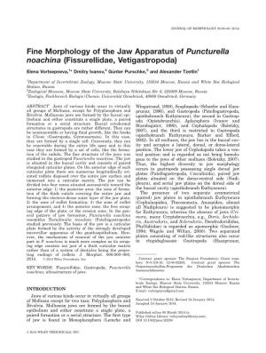 Fine Morphology of the Jaw Apparatus of Puncturella Noachina (Fissurellidae, Vetigastropoda)