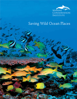 Saving Wild Ocean Places