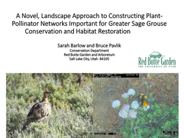 Pollinator Networks Important for Greater Sage Grouse Conservation and Habitat Restoration