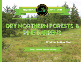 Wildlife Action Plan: Dry Northern Forest Pine Barrens