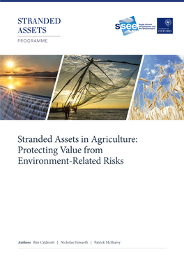 Stranded Assets in Agriculture: Protecting Value from Environment-Related Risks