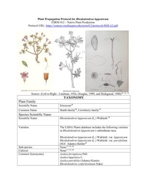 Plant Propagation Protocol for Rhododendron Lapponicum ESRM 412 – Native Plant Production Protocol URL