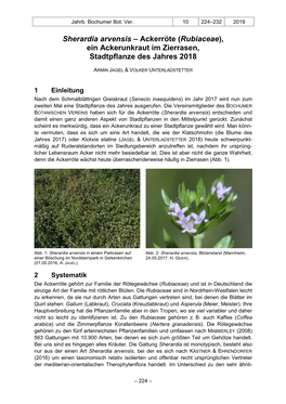 Jagel, A. & Unterladstetter, V.: Sherardia Arvensis