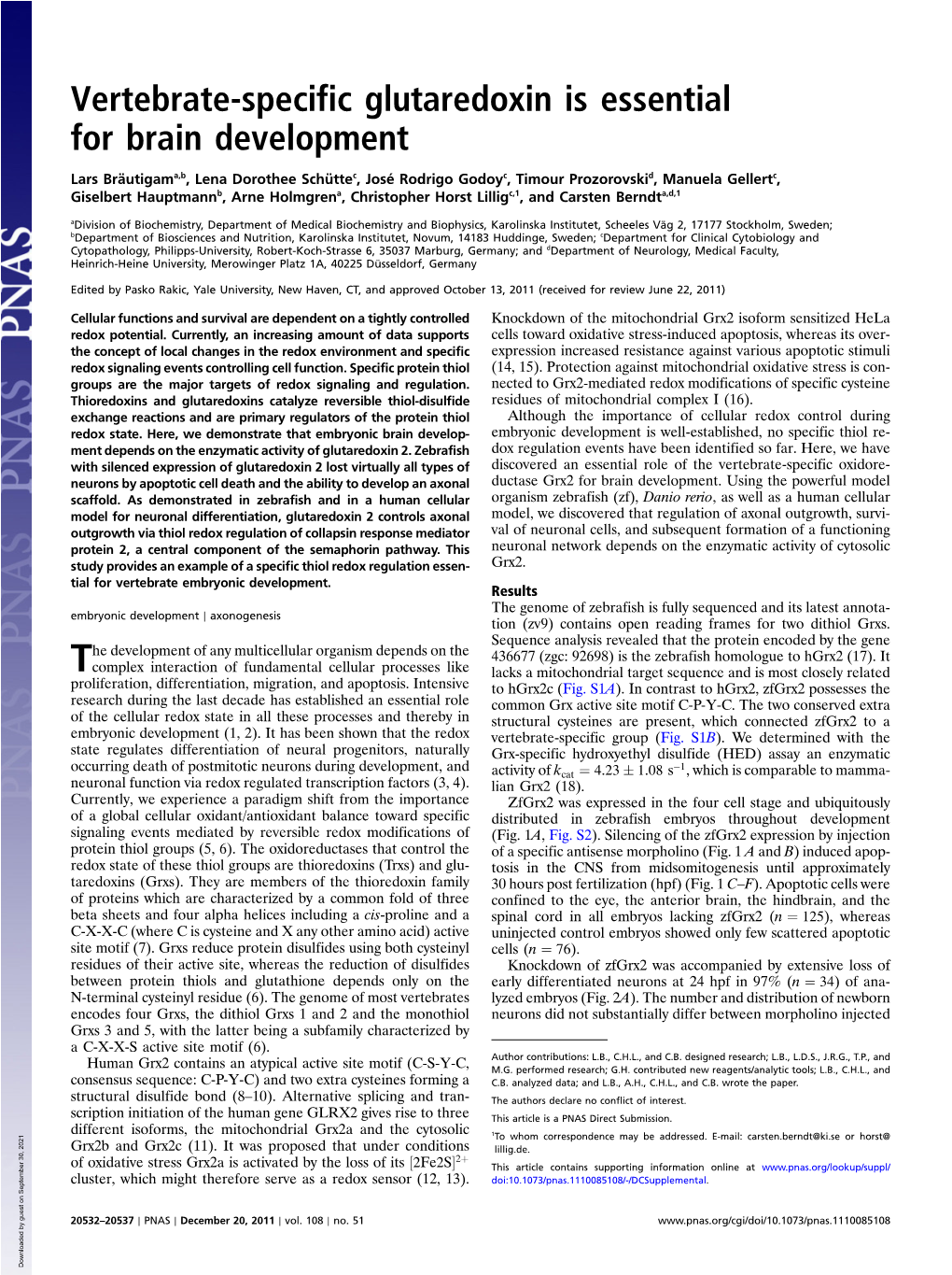 Vertebrate-Specific Glutaredoxin Is Essential for Brain Development