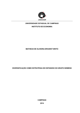 Universidade Estadual De Campinas Instituto De Economia Matheus De Oliveira Erhardt Brito Diversificação Como Estratégia De E