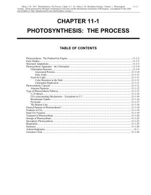 Photosynthesis: the Process