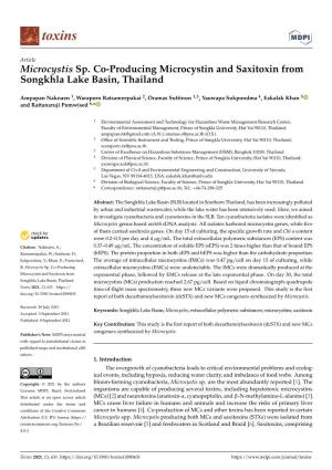 Microcystis Sp. Co-Producing Microcystin and Saxitoxin from Songkhla Lake Basin, Thailand