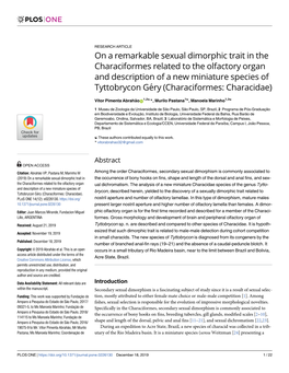 On a Remarkable Sexual Dimorphic Trait in the Characiformes Related To