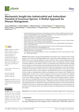 Mechanistic Insight Into Antimicrobial and Antioxidant Potential of Jasminum Species: a Herbal Approach for Disease Management