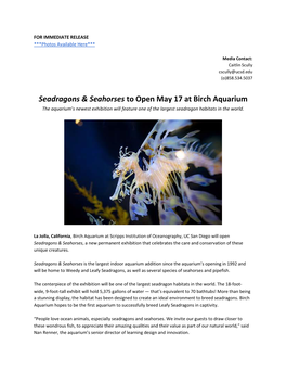 Seadragons & Seahorses to Open May 17 at Birch Aquarium