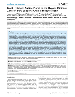 Giant Hydrogen Sulfide Plume in the Oxygen Minimum Zone Off Peru Supports Chemolithoautotrophy