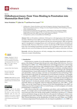Orthobunyaviruses: from Virus Binding to Penetration Into Mammalian Host Cells