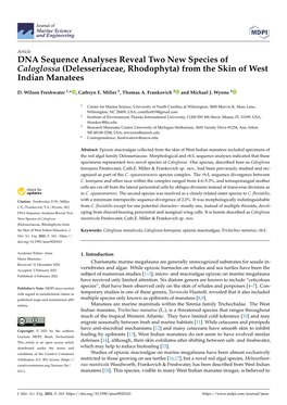 DNA Sequence Analyses Reveal Two New Species of Caloglossa (Delesseriaceae, Rhodophyta) from the Skin of West Indian Manatees
