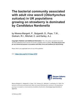 The Bacterial Community Associated with Adult Vine Weevil (Otiorhynchus