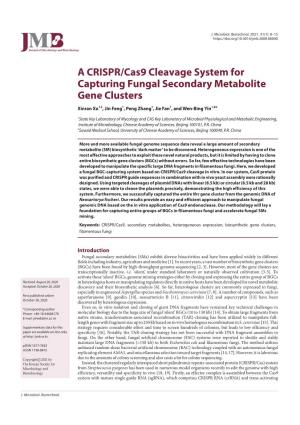 A CRISPR/Cas9 Cleavage System for Capturing Fungal Secondary Metabolite Gene Clusters