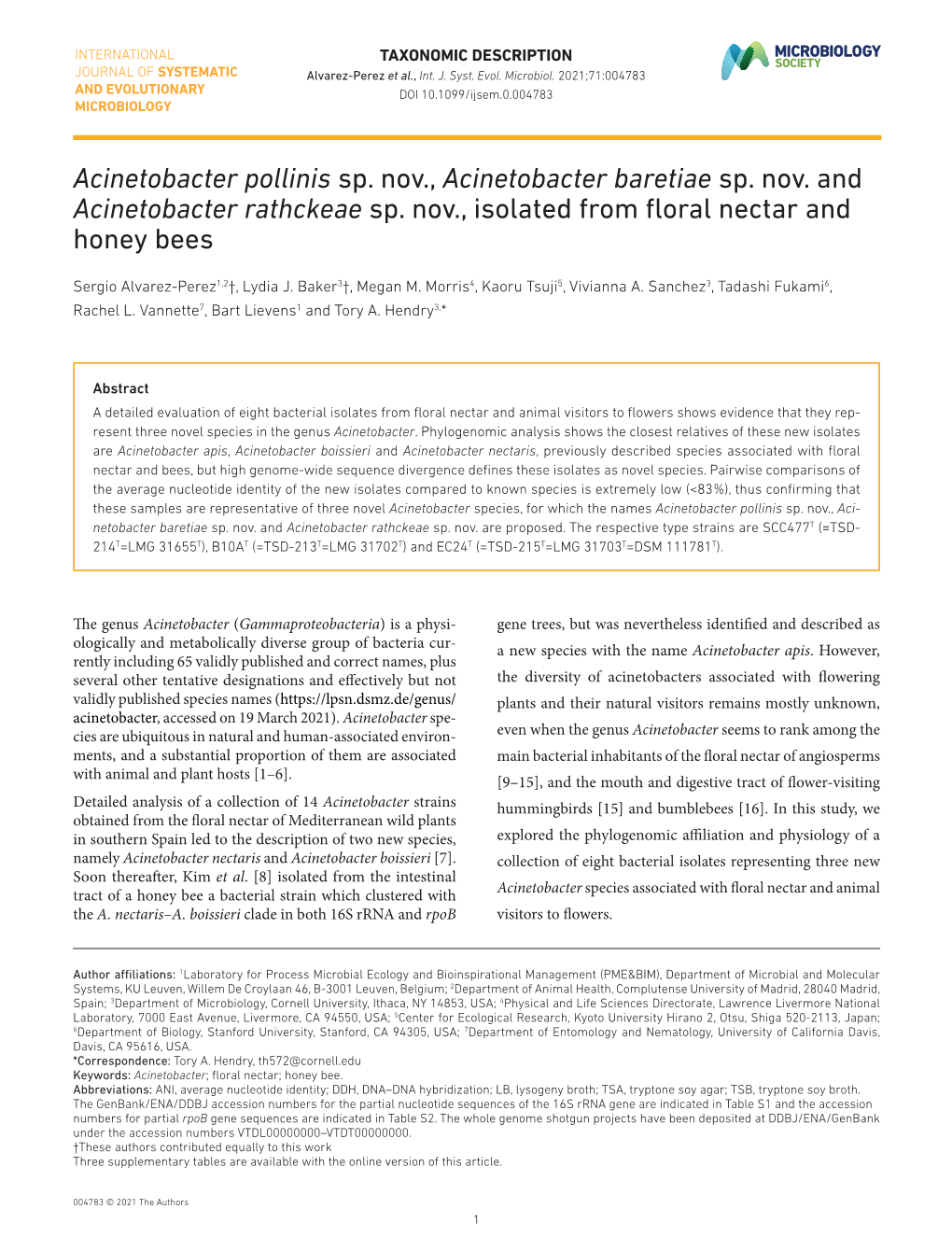 Acinetobacter Pollinis Sp