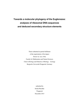 Towards a Molecular Phylogeny of the Euglenozoa: Analyses of Ribosomal DNA Sequences and Deduced Secondary Structure Elements